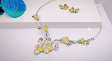 Img20240416145826433edit6810101371877