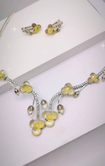 Img20240416145845339edit6818325026042