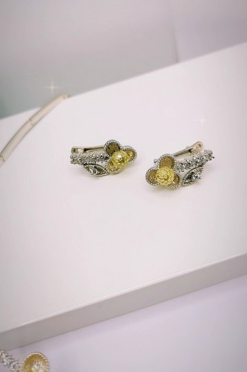 Img20240416145917520edit6826383330207