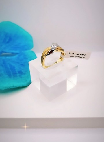 Img20240606152829049edit16288939689700