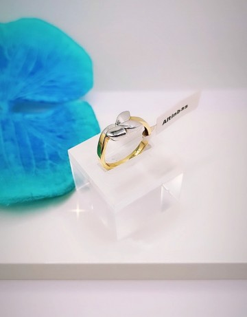 Img20240606155121442edit15981409899121