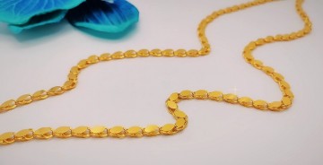 Img20241119130110247edit17184254453626