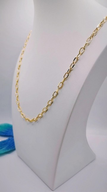 Img20250204135649979edit3299911778141