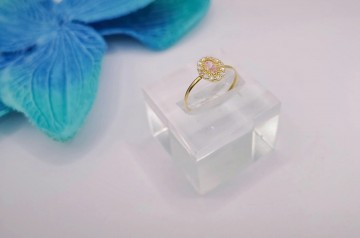 Img20250218162804929edit9883605930783