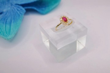 Img20250218162919067edit12143115805959