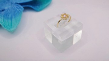 Img20250218164847763edit12194392884076