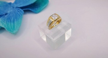 Img20250218174737473edit12223043398134