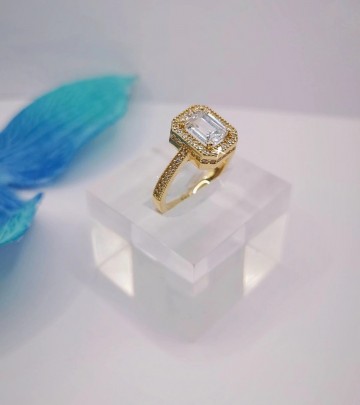 Img20250227154001431edit3253230044293