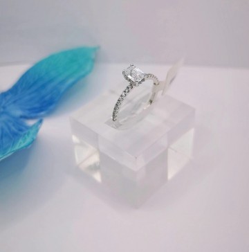 Img20250227154213623edit3285419894809