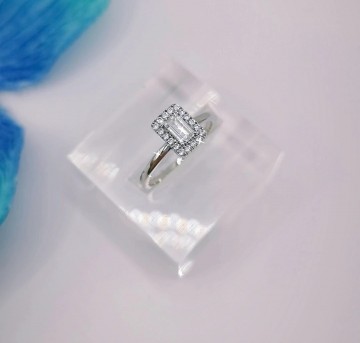 Img20250227154520520edit3484448583842