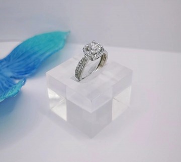 Img20250227154635466edit3492300593736