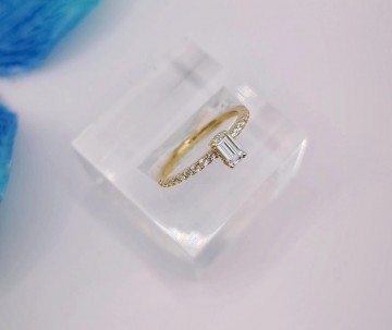 Img20250227155346344edit3588165176534