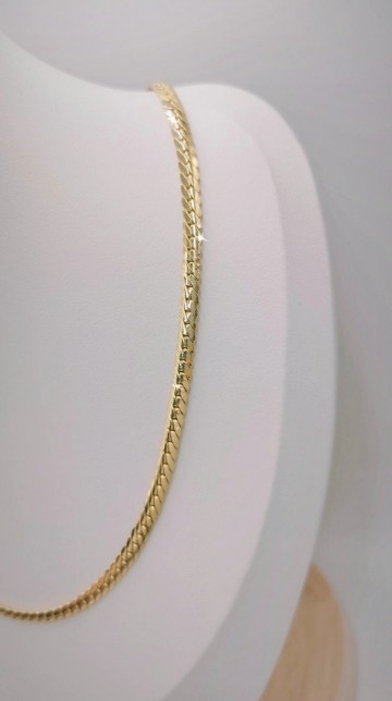 Img20250318125638507edit3410549378124