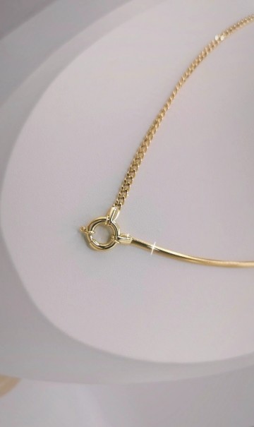 Img20250318150851195edit10817685718140