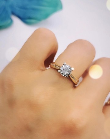 Img20250527144002662edit7374100301477