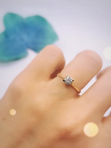 Img20250527151950029edit10038237366696