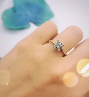 Img20250527152152226edit10070362293253