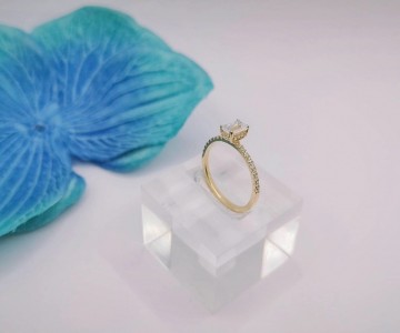 Img20250527170755619edit17027486941150