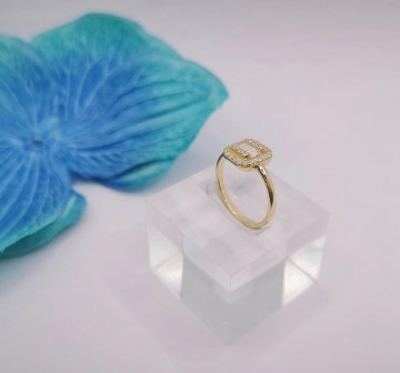 Img20250527170824913edit17039159238023