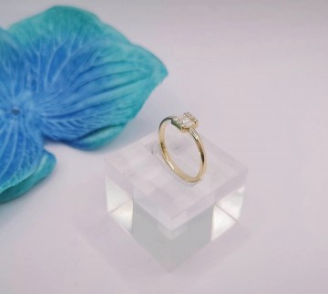 Img20250527170850984edit17049102973959