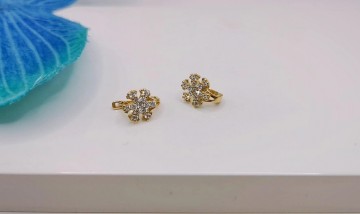 Img20250701160725257edit9502821337611