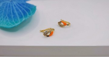 Img20250701172158059edit9845271241726