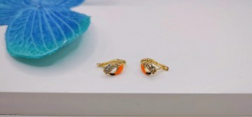 Img20250701172336341edit9888410637032