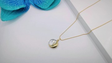 Img20250715163811028edit496499630652