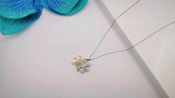 Img20250715181355472edit714398341556