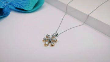 Img20250715181442083edit718940505097