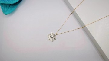 Img20250717151308687edit9249468208483