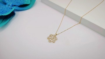 Img20250717151336443edit9255038231399