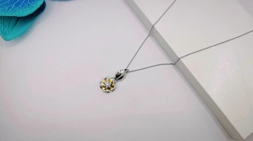 Img20250717152518794edit9292825144935