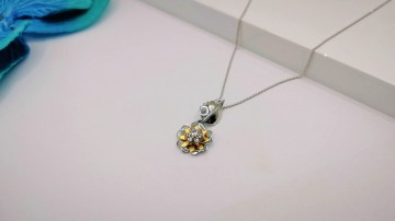 Img20250717152633005edit9297112400143