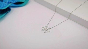 Img20250717152827883edit9301535418892