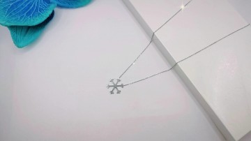 Img20250717152850991edit9305621225141