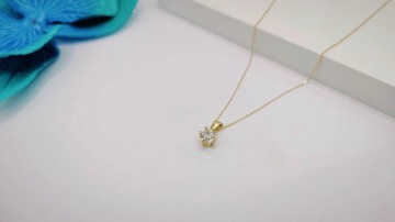 Img20250717153504143edit9339547249615