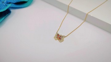 Img20250717155406173edit9482572965739