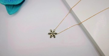 Img20250717155759321edit9511531345943