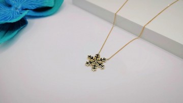 Img20250717155830405edit9516298410526