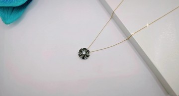 Img20250717161016745edit9568950511559