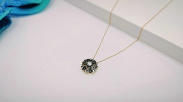 Img20250717161046222edit9573894474059