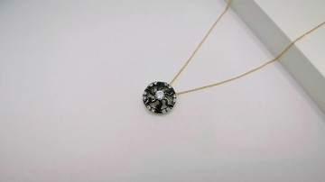 Img20250717161109749edit9578839654266