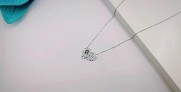 Img20250717161843613edit9627485486551