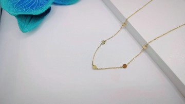 Img20250717165210466edit9673759503210