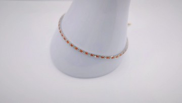 Img20251202151850295edit10398219921328